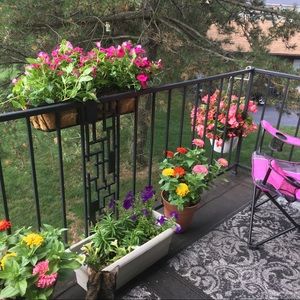 Meet your Posher, Dawn